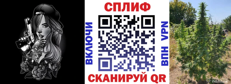 Продажа наркотиков Новоалтайск A-PVP Меф мяу мяу ГАШ