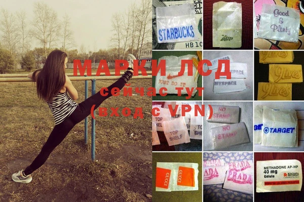 прущие крисы Щигры