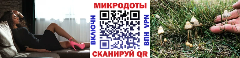 Галлюциногенные грибы мухоморы  мега зеркало  Новоалтайск 